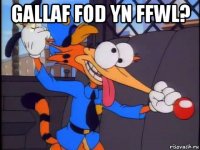 gallaf fod yn ffwl? 