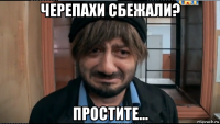 черепахи сбежали? простите...
