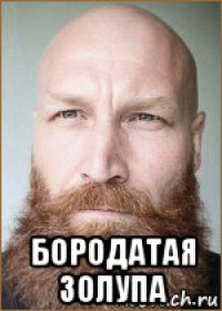  бородатая золупа