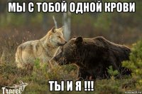 мы с тобой одной крови ты и я !!!