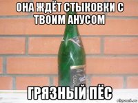 она ждёт стыковки с твоим анусом грязный пёс