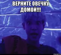 верните овечку домой!!! 