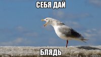 себя дай блядь