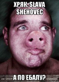 хряк, slava shehovec а по ебалу?