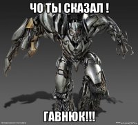 чо ты сказал ! гавнюк!!!