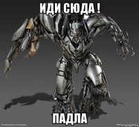 иди сюда ! падла