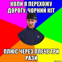 коли я перехожу дорогу, чорний кіт плює через плече три рази