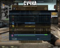 сучка 