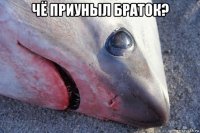 чё приуныл браток? 