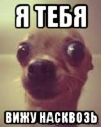 я тебя вижу насквозь