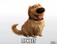  привет