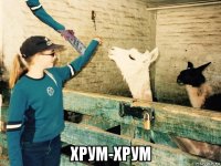  хрум-хрум