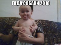 года собаки 2018 