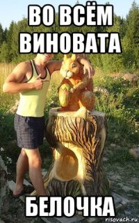 во всём виновата белочка