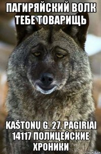 пагиряйский волк тебе товарищь kaštonų g. 27, pagiriai 14117 полицейские хроники