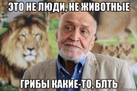 это не люди, не животные грибы какие-то, блть