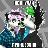 не скучай принцесска