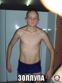 золлупа