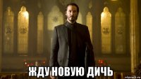  жду новую дичь