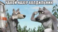 какой нахер холдильник 
