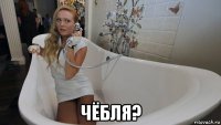  чёбля?