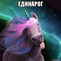 единарог 