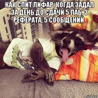 как спит лифар, когда задал за день до сдачи 5 лаб, 3 реферата, 5 сообщений. 