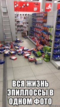  вся жизнь эпиллоссы в одном фото