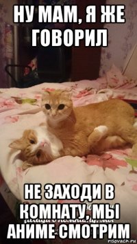 ну мам, я же говорил не заходи в комнату, мы аниме смотрим