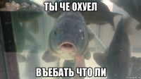 ты че охуел въебать что ли