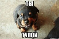 ты тупой