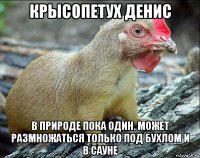 крысопетух денис в природе пока один. может размножаться только под бухлом и в сауне