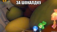 за шокалдку 