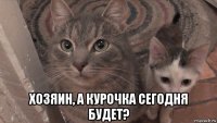  хозяин, а курочка сегодня будет?