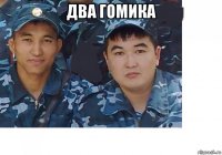 два гомика 