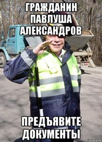 гражданин павлуша александров предъявите документы