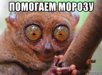помогаем морозу 