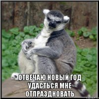  отвечаю новый год удасться мне отпраздновать