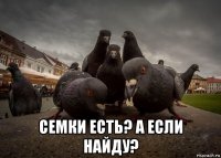  семки есть? а если найду?