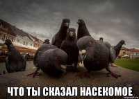  что ты сказал насекомое