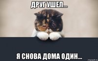 друг ушел... я снова дома один...