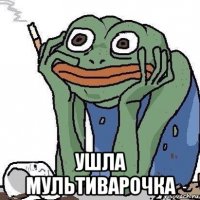 ушла мультиварочка