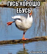 гусь хорошо ебусь 