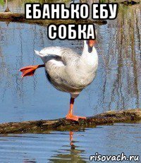 ебанько ебу собка 