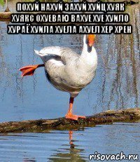 похуй нахуй захуй хуйц хуяк хуякс охуеваю вахуе хуе хуило хураё хуила хуела ахуел хер хрен 