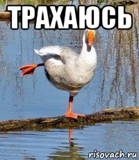 трахаюсь 