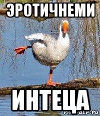 эротичнеми интеца