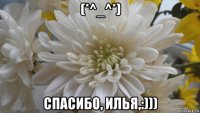 (*^_^*) спасибо, илья,:)))