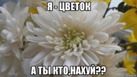 я - цветок а ты кто,нахуй??