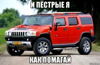 и пёстрые я как помагай